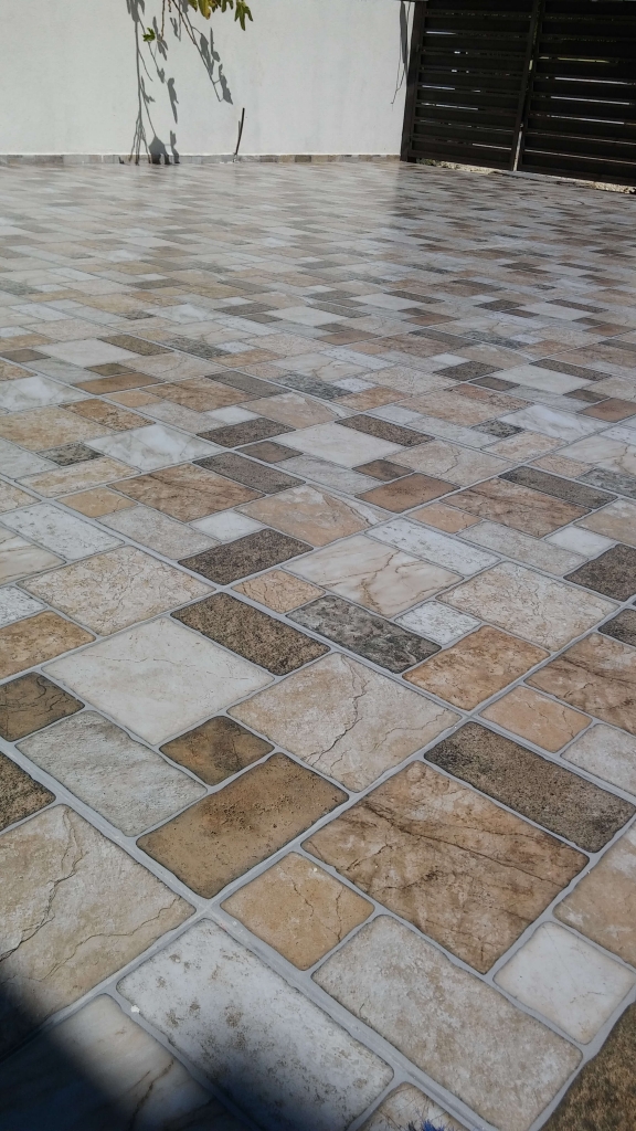 פוליש ישראל 1 576x1024